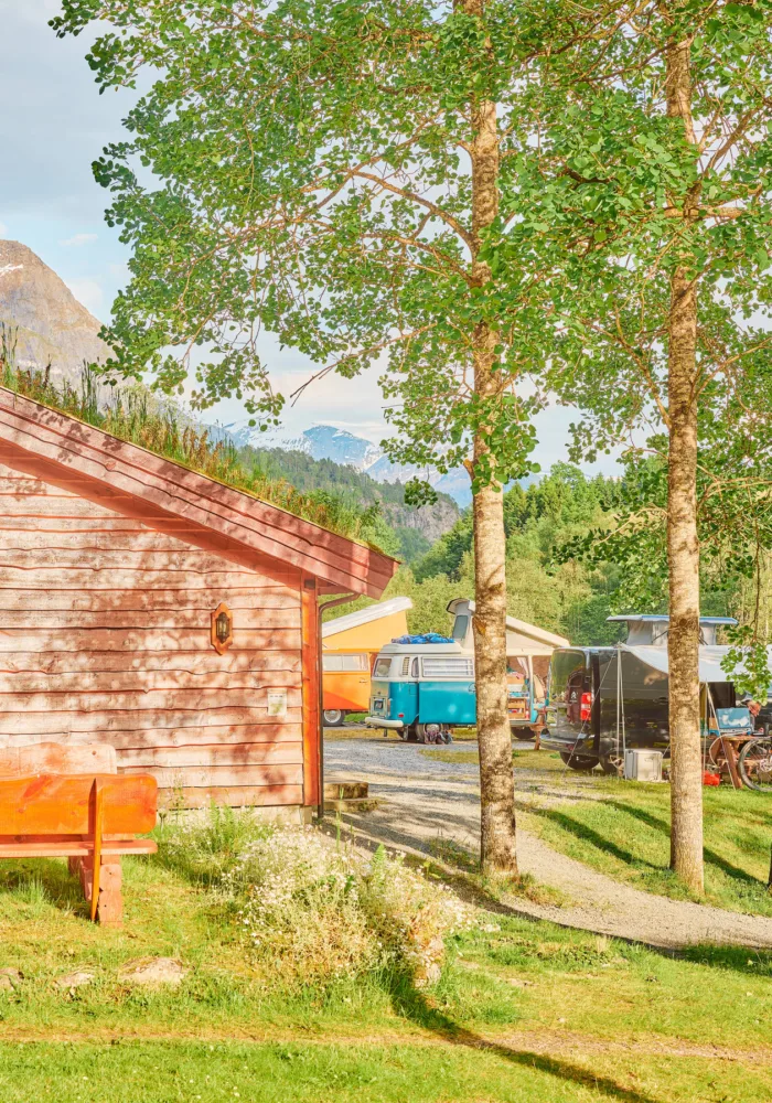 Bilde av miljø på Tjugen camping