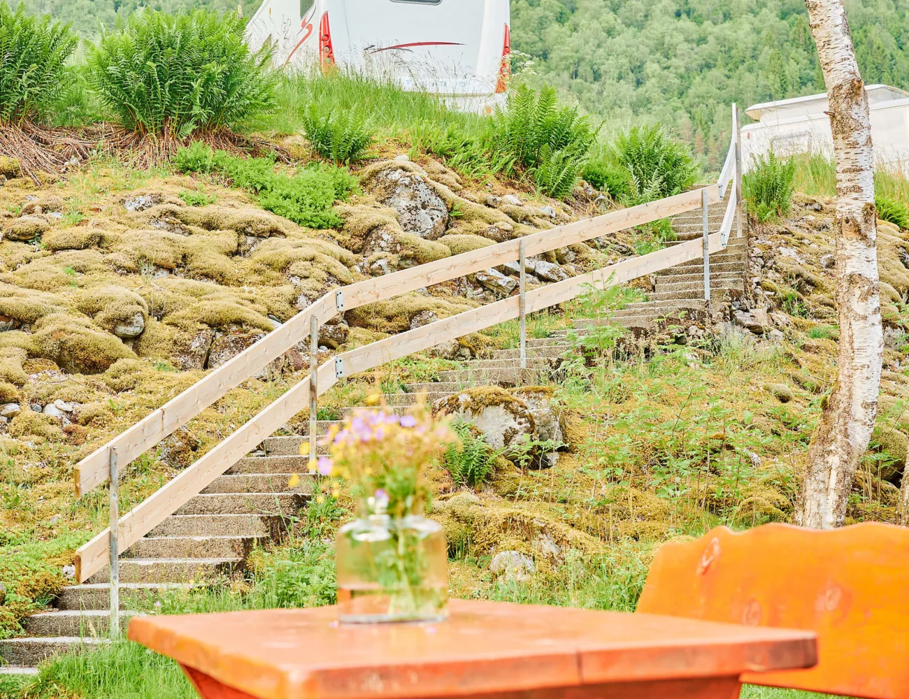 Miljøbilde frå Tjugen camping5